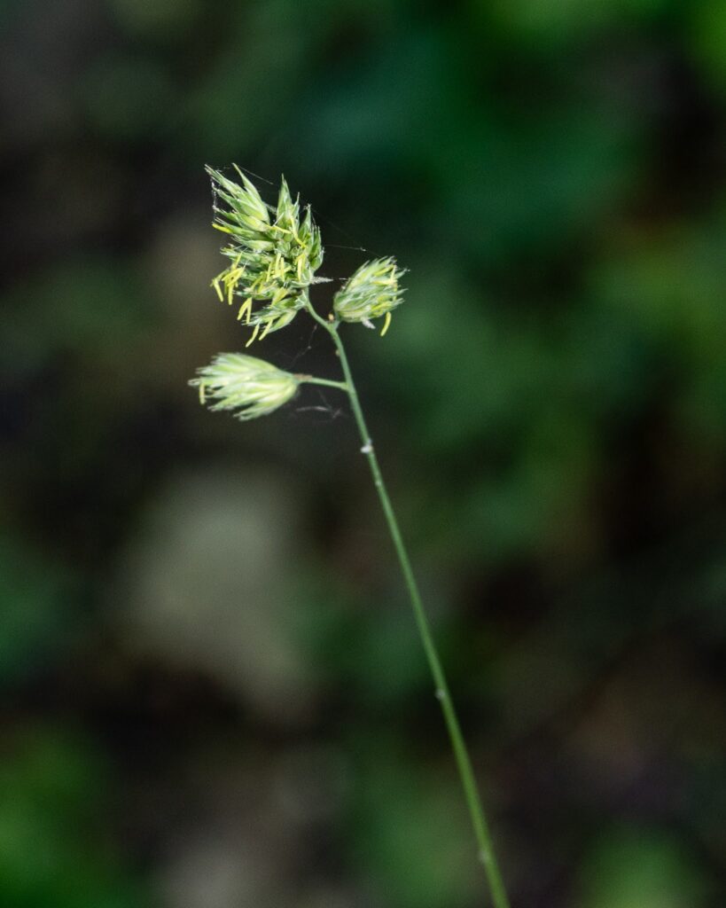 Attention ! Fragile.