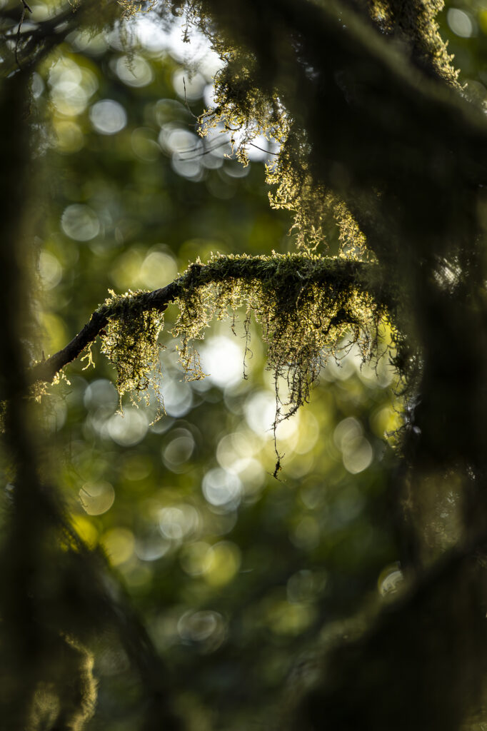 Et la lumière fût !!