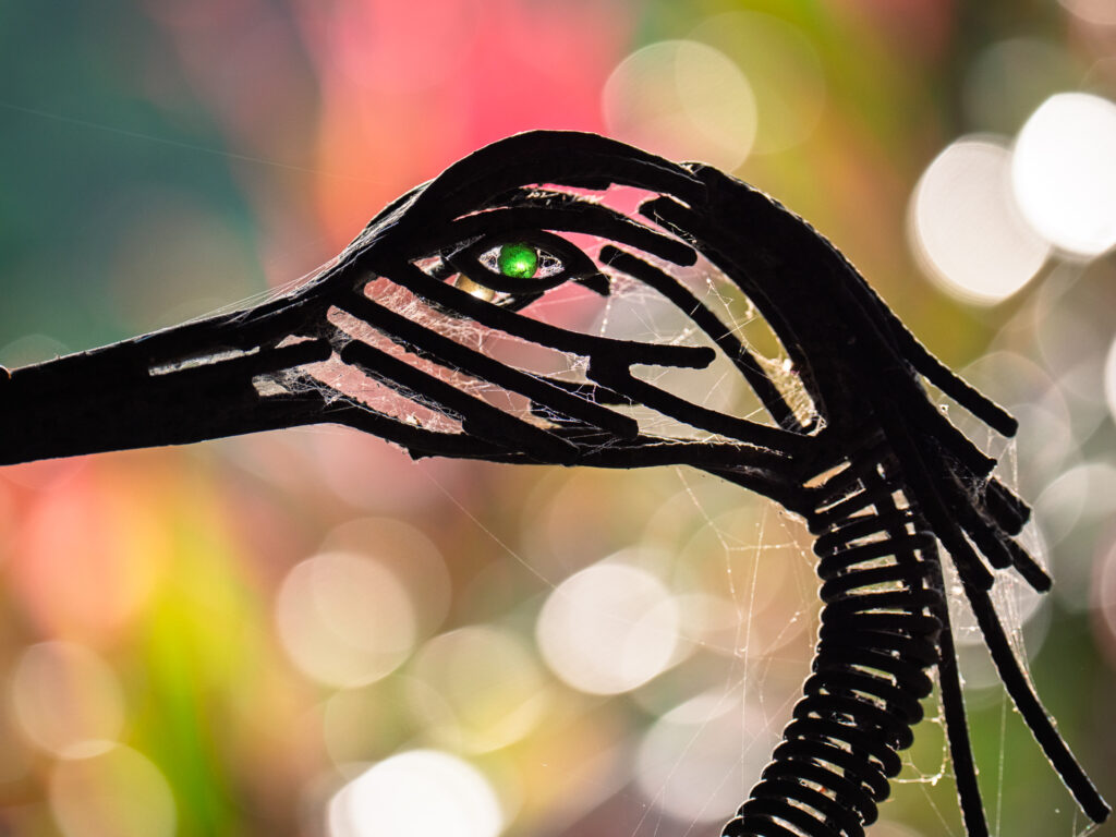 Une araignée au plafond