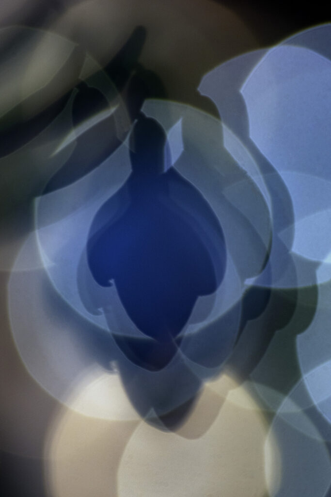 Perce neige et son bokeh en reflexion