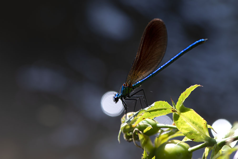 la tête dans la lune