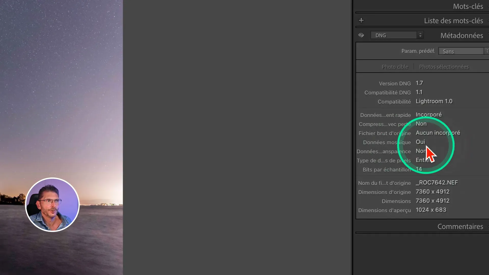 Métadonnées Lightroom montrant un DNG non compressé avec les données mosaïques conservées.