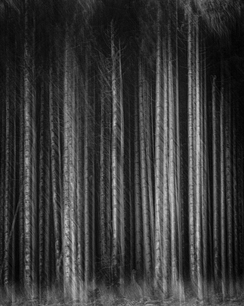 Qu'y a-t-il derrière ? Mystère