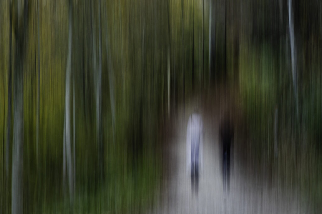 Mystère de la forêt