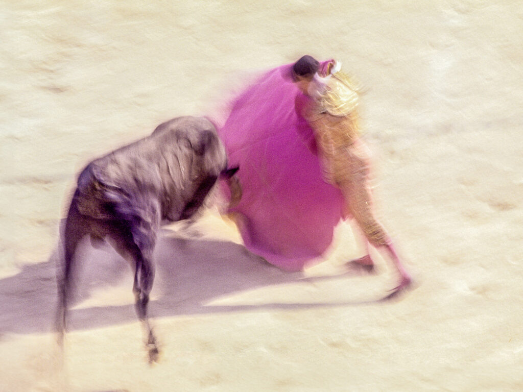 Corrida étude n° 1