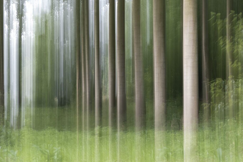 Flou artistique Un monde entre réel et imaginaire