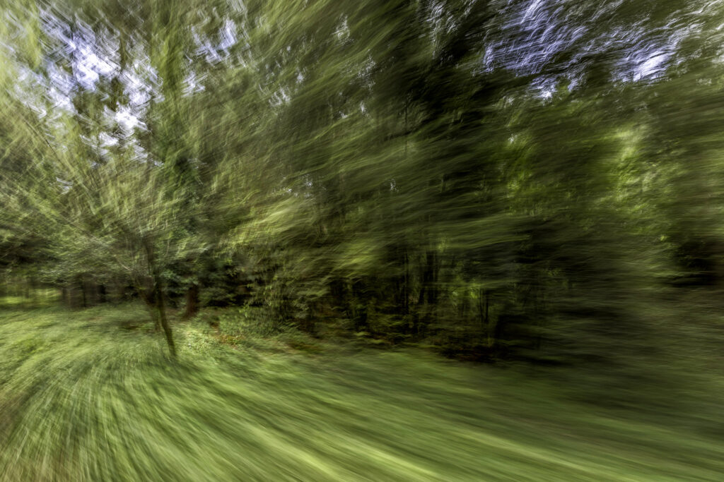 Le petit train de St Trojan