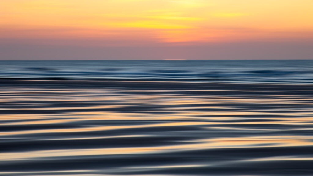 Lumières d’estran