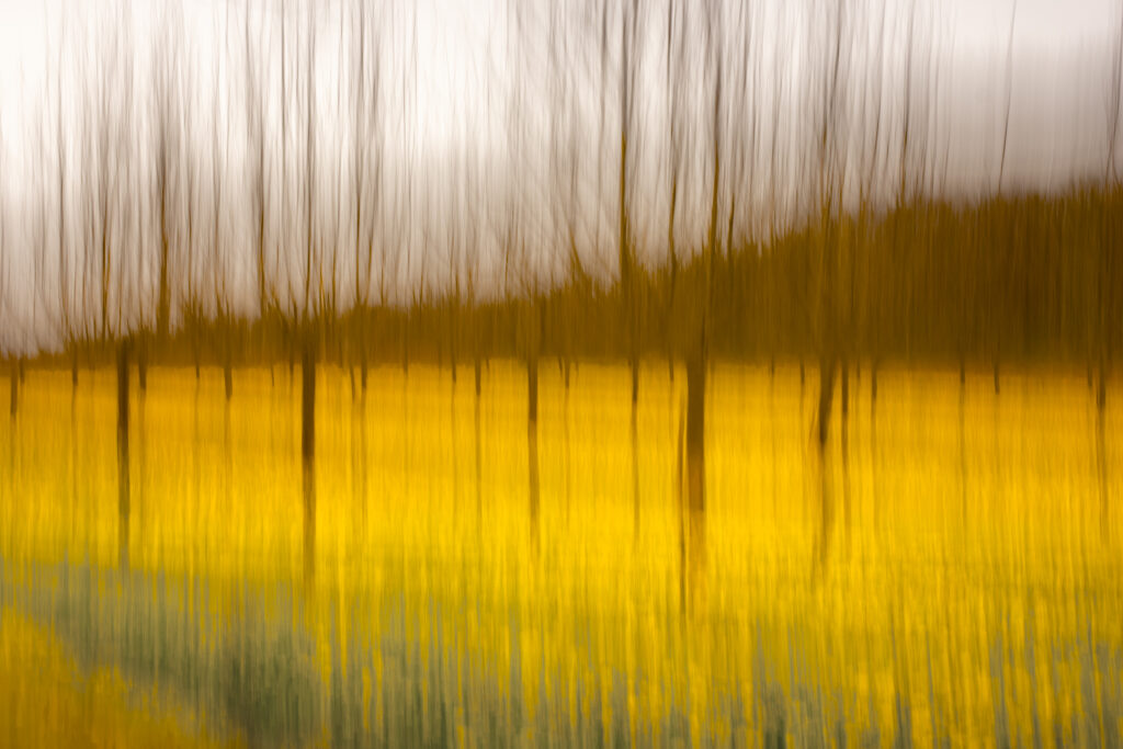 Les pieds dans les fleurs