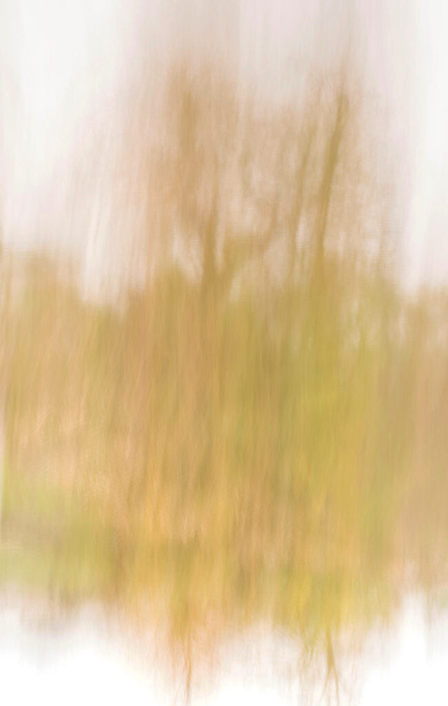 Impressions d'automne