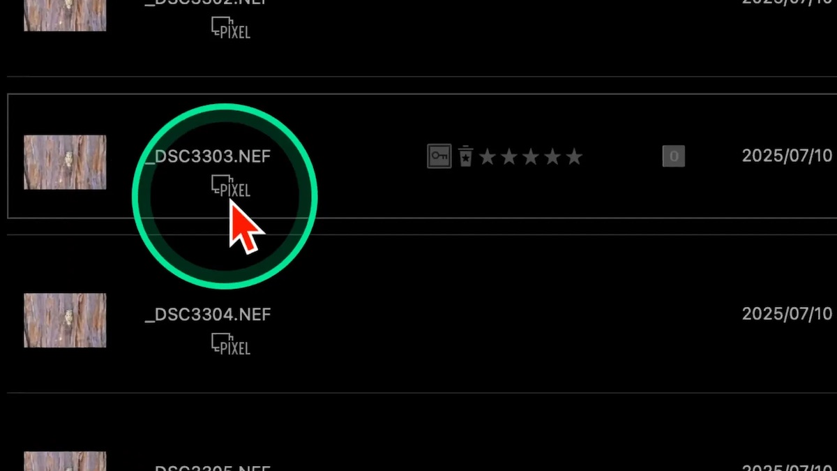 Fichier NEF issu du Pixel Shift dans NX Studio