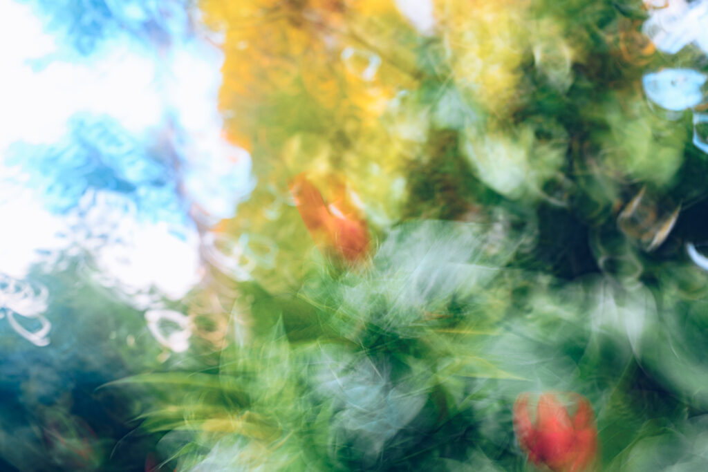 L'Écho Lumineux du Mouvement