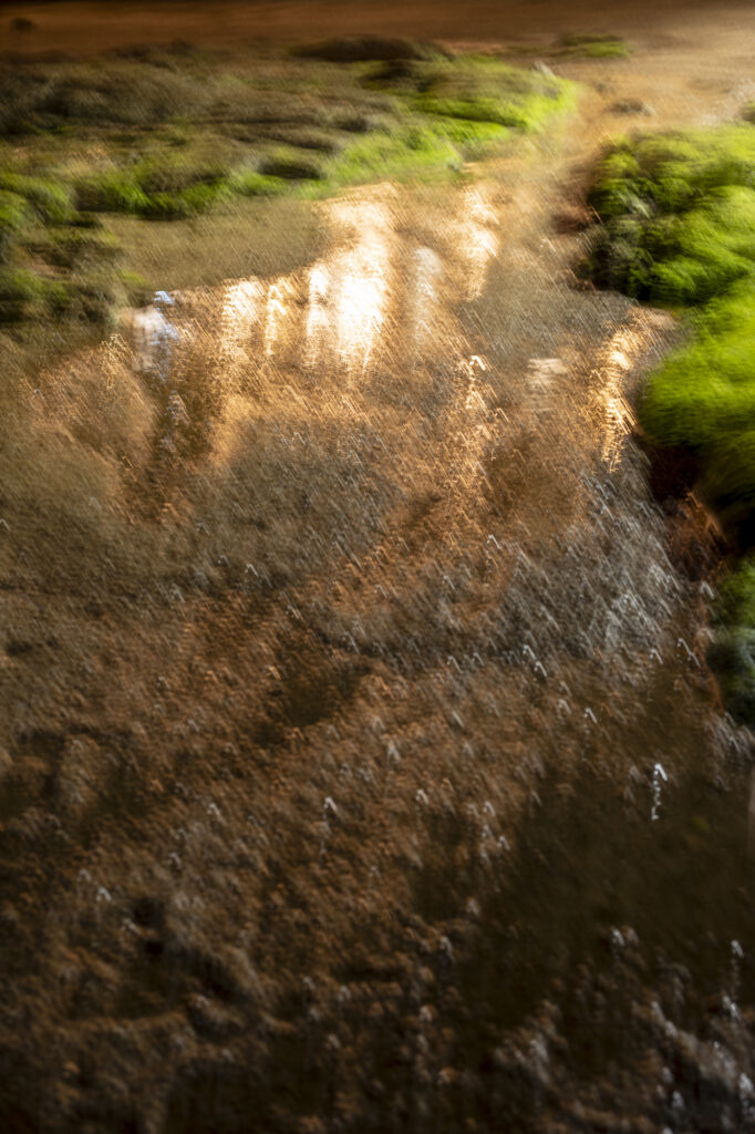 Chasse aux Korrigans