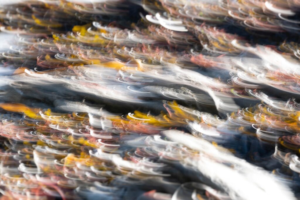 Marée Basse à Penerf