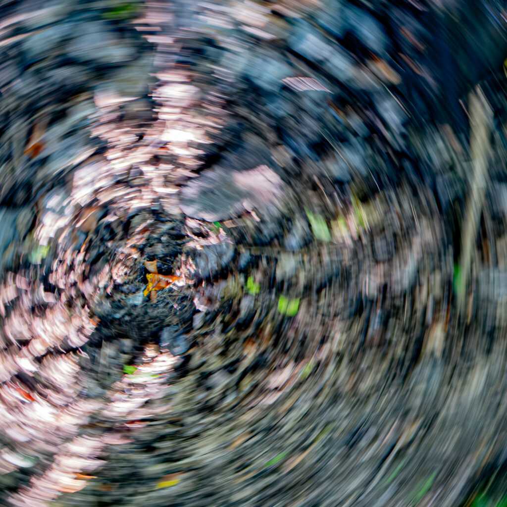 Tourbillon forestier