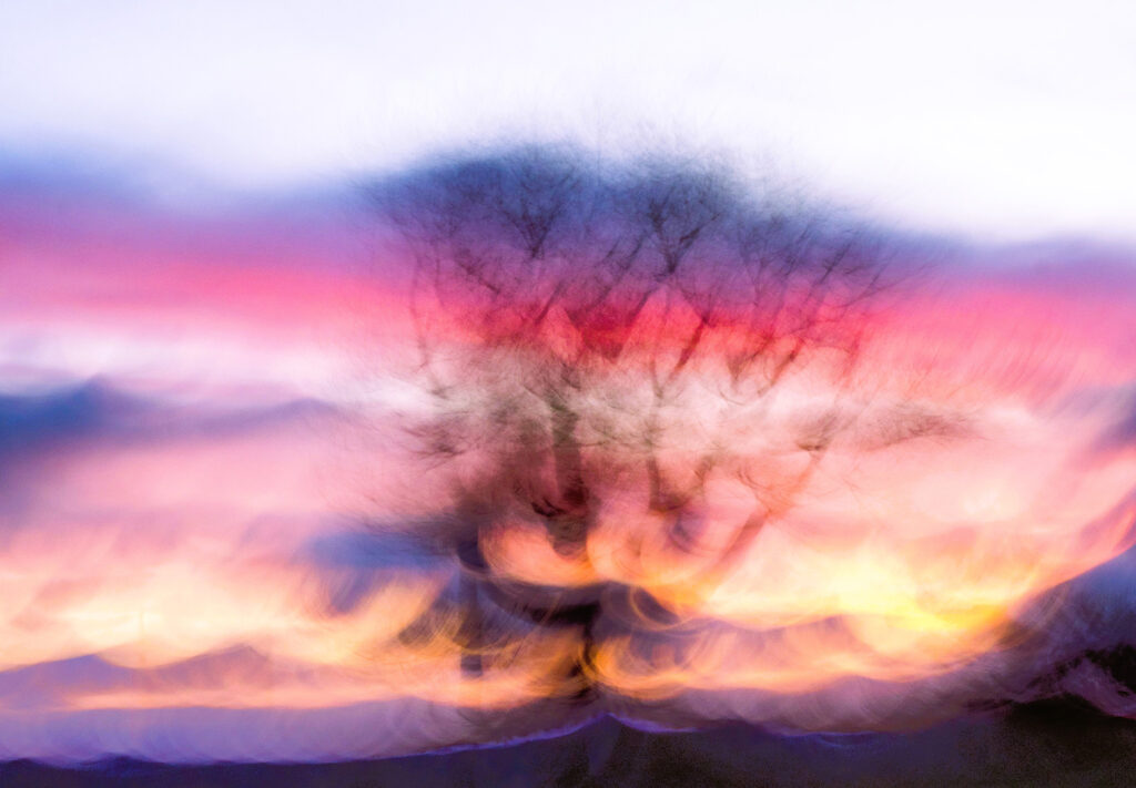 Danse au pied de l'arbre au soleil couchant