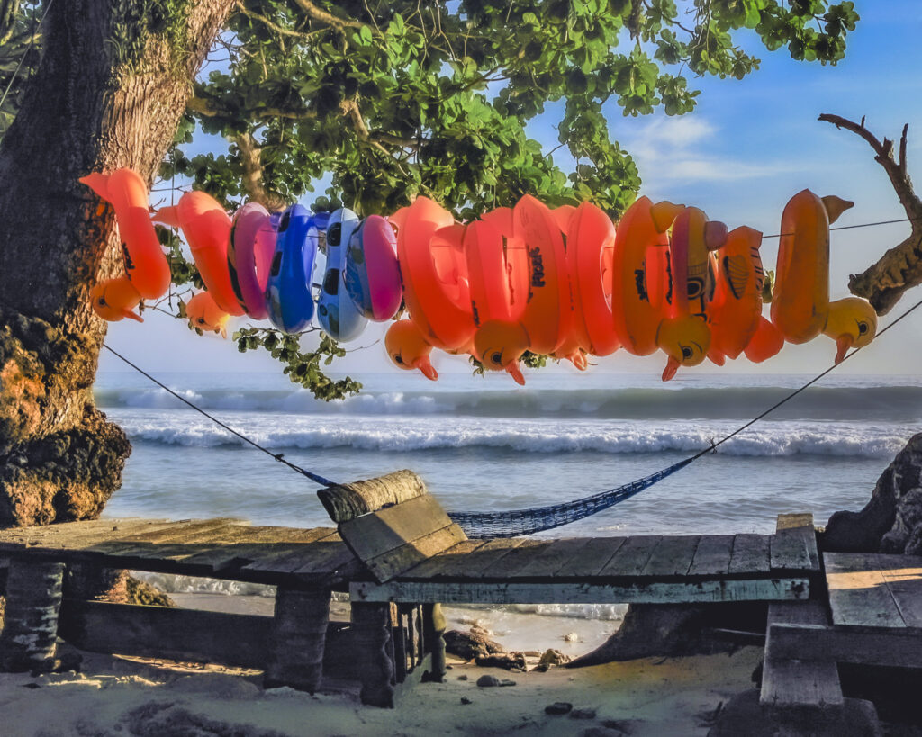 Les coin-coins à la plage