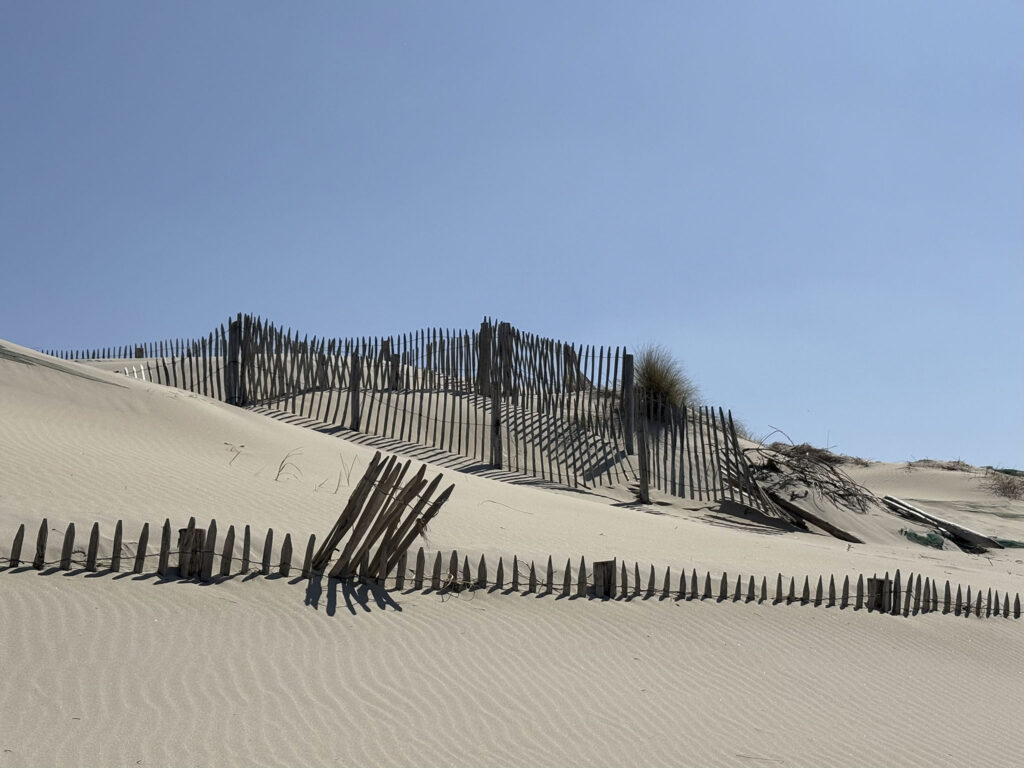 conservation vs changement