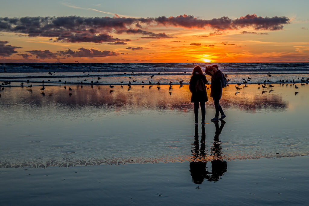 Les mouettes prennent la pose !