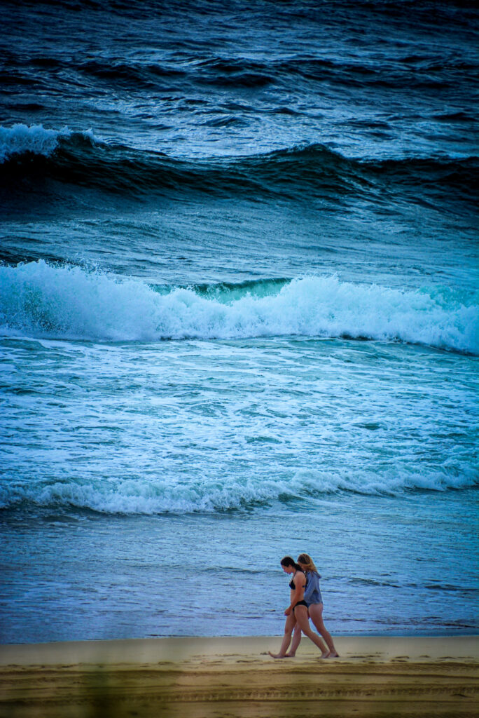 walk on the wild side