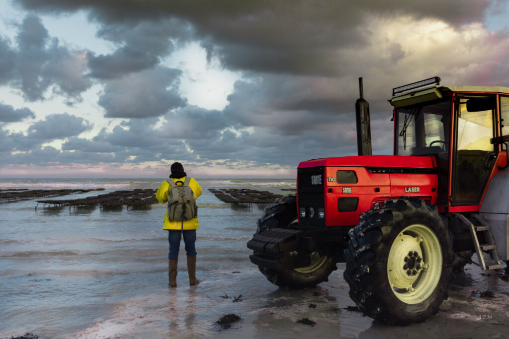 Un petit coin de Normandie