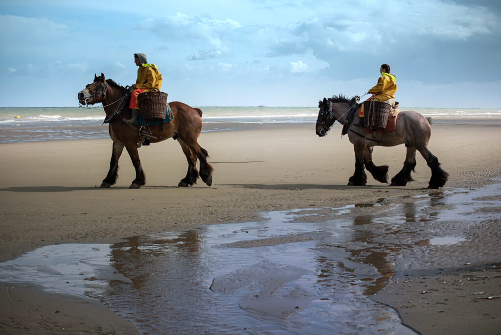 Pêcheurs de crevettes