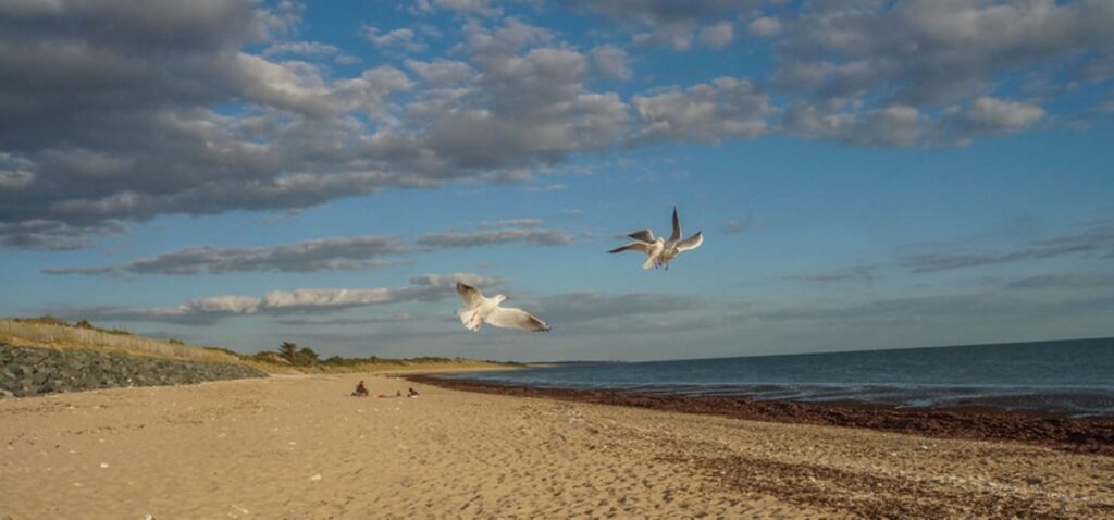 seuls sur le sable.....