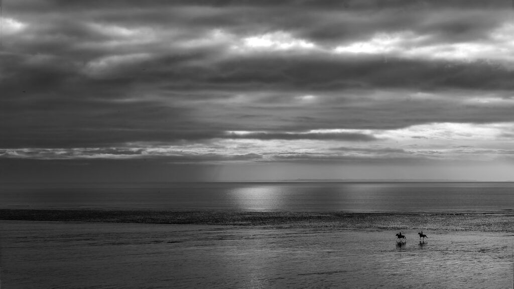 Les chevaux à la plage