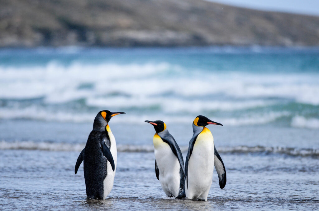 Bonjour les filles...