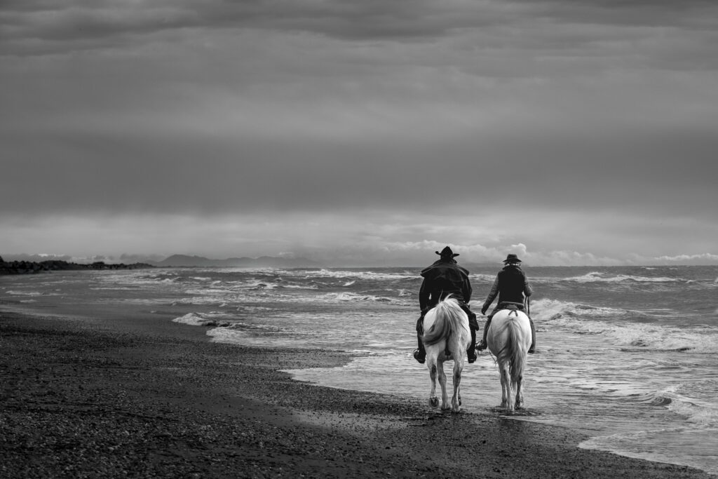 La solitude de l'hiver