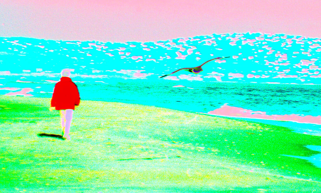 Ballade sur la plage de Sete