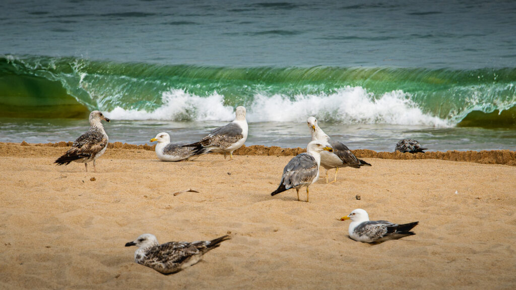Plage de St Jean-de-Luz