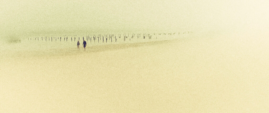 Rêveries sur les plages d'Oléron