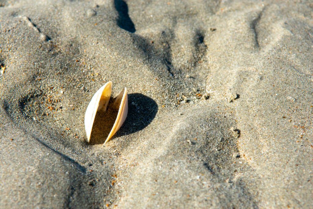 Silence sur la plage