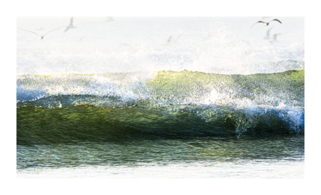 Elle se forme se lance s'avance immense gerbe d'écume .