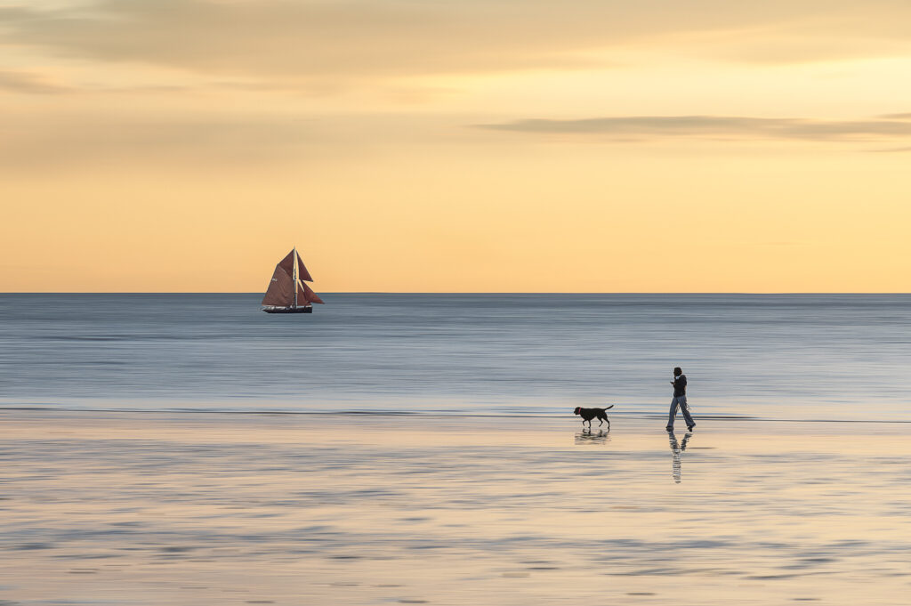 Entre chien et sloop