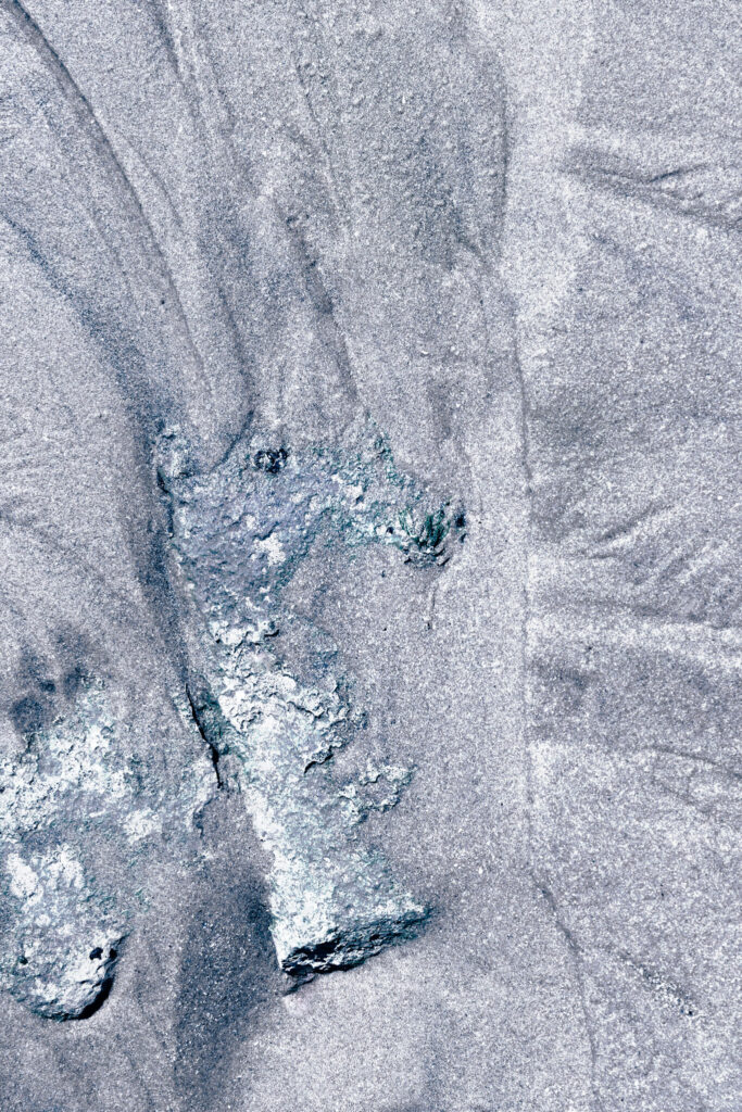 La licorne de la mer