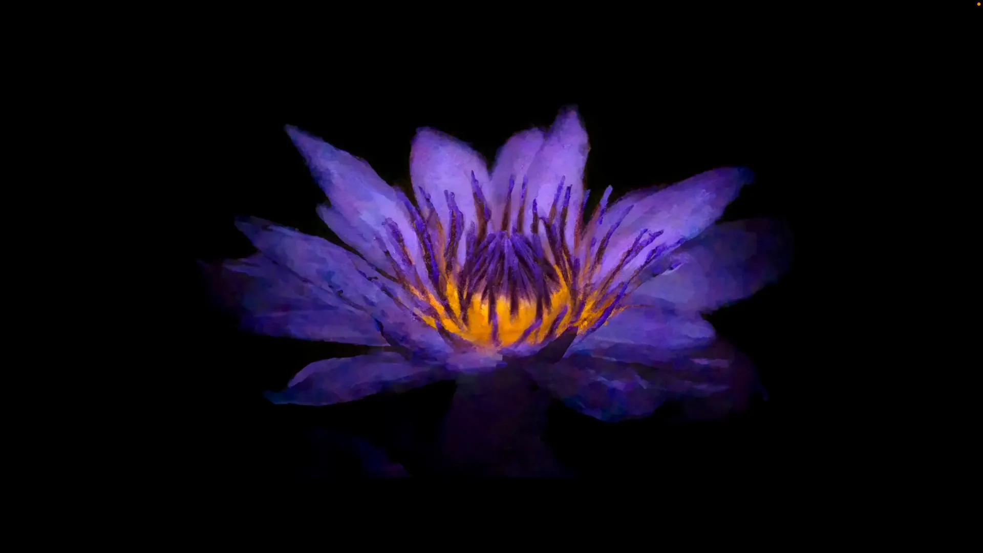 Fleur de nénuphar stylisée avec un rendu pictural coloré.
