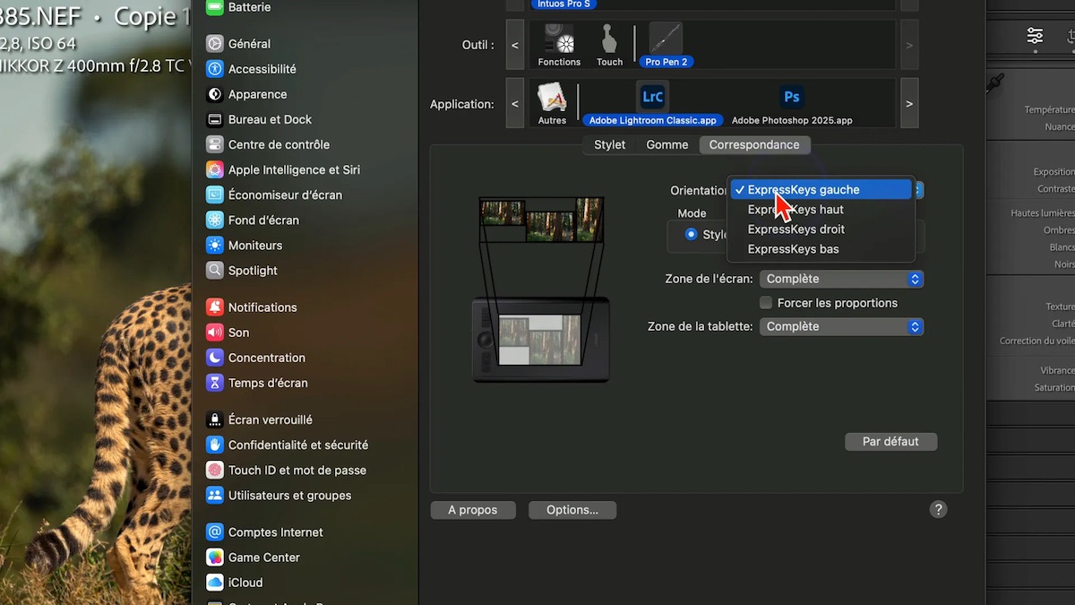 Fenêtre de réglage de l’orientation ExpressKeys sur une tablette Wacom dans macOS.