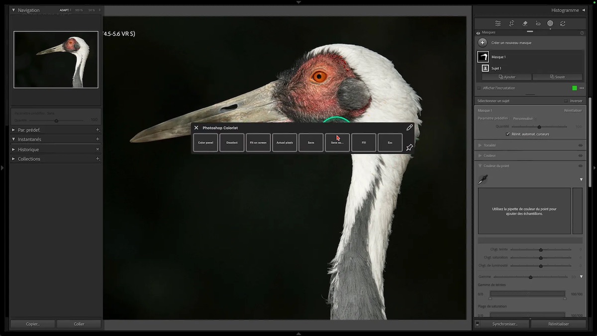 Fenêtre flottante avec plusieurs options d’outils dans Photoshop Colorist.