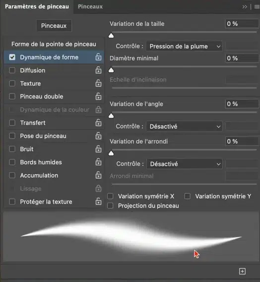 Zoom sur l’option dynamique de forme dans le panneau des pinceaux.