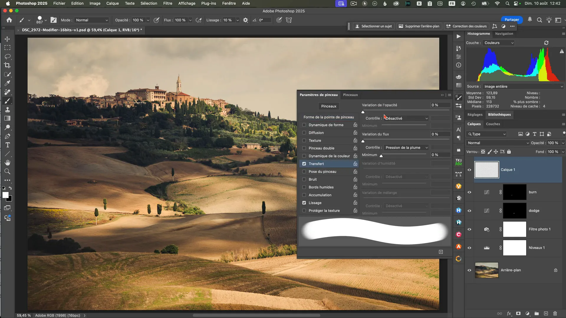 Fenêtre des paramètres de pinceau avec l’option transfert activée dans Photoshop.