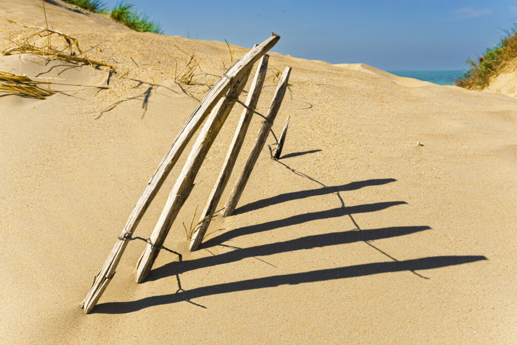 Bois et Ombre pour le sable