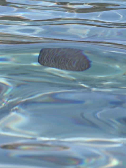 Danseuse des abysses