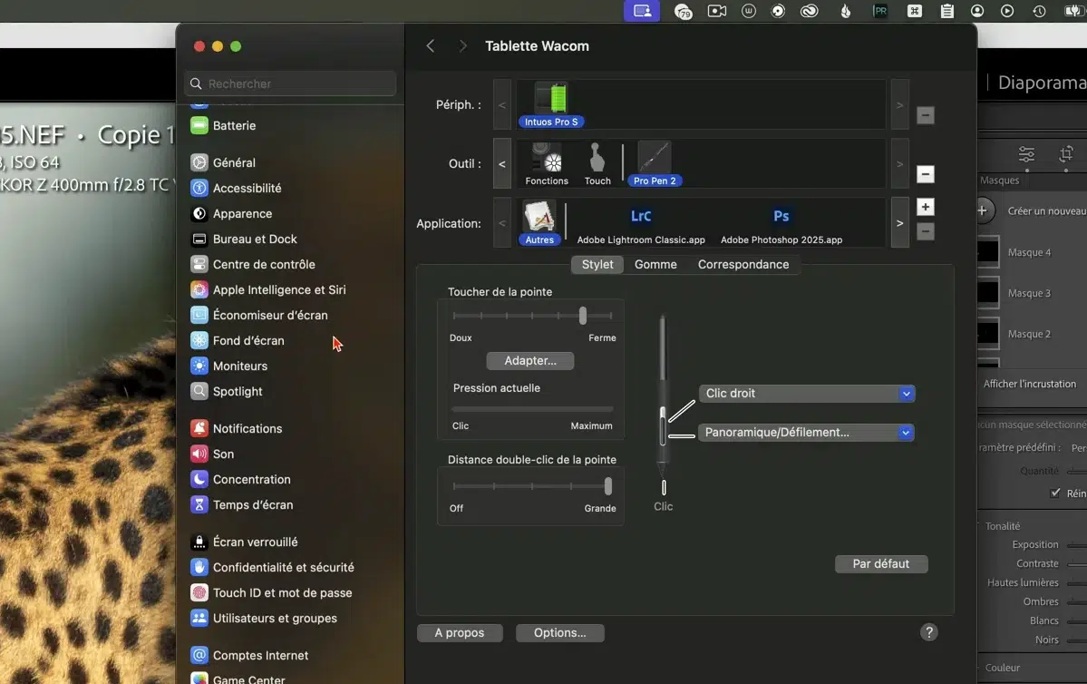 Réglages détaillés du stylet dans le panneau Wacom