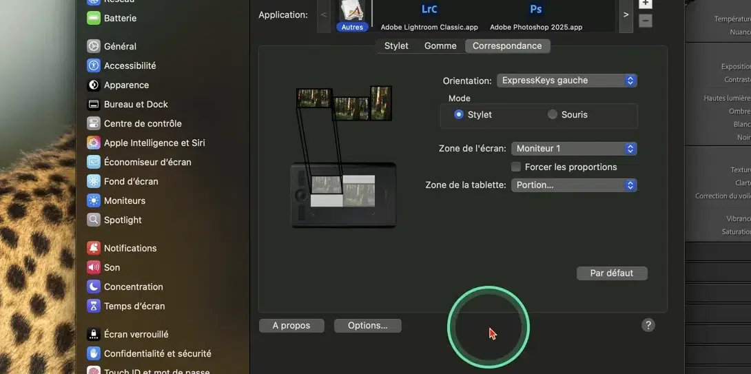 Résultat visuel de la restriction de la zone active