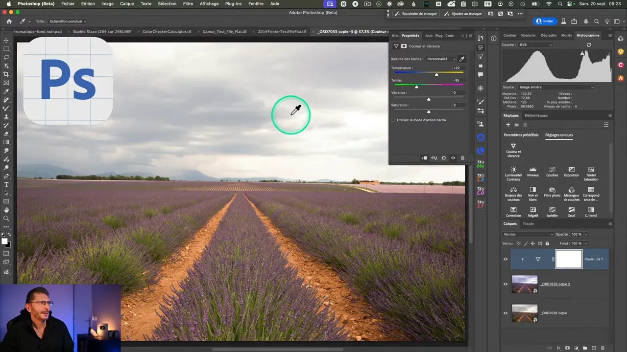 Interface Photoshop Beta appliquant le nouveau calque « Couleur et vibrance » sur la photo de lavande.