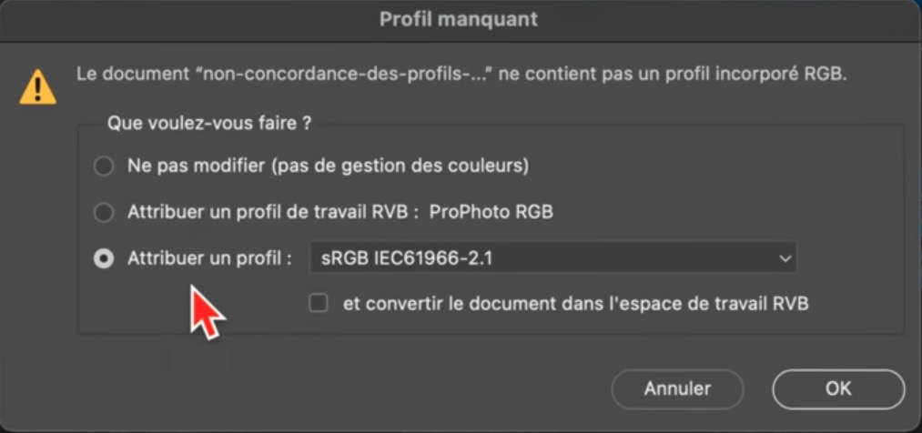 Fenêtre Profil manquant dans Photoshop indiquant qu’un document ne contient pas de profil incorporé RGB