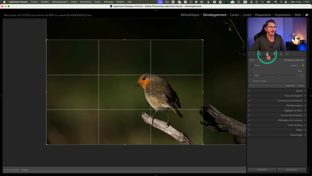 Interface de Lightroom avec le cadre de recadrage actif sur le rouge-gorge.