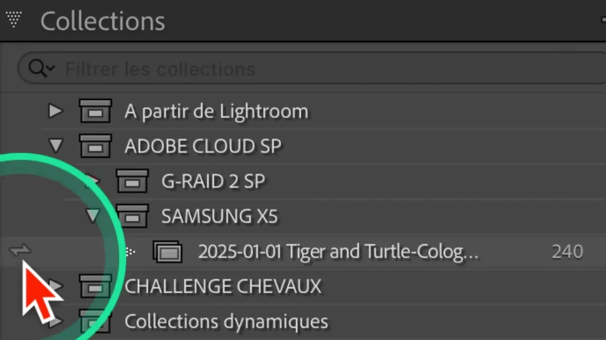 Icône d’éclair indiquant une collection synchronisée dans Lightroom Classic
